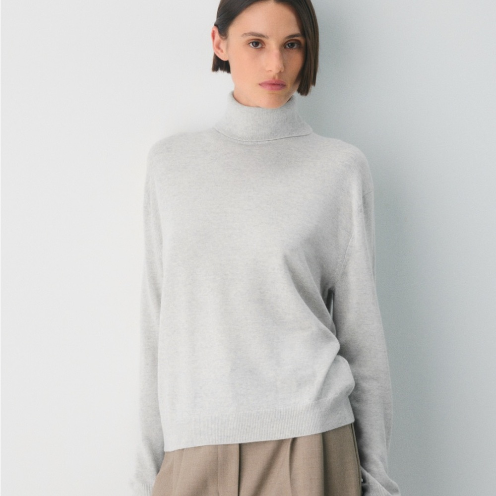 ARITZIA Bare 100% Merino Wool Turtleneck Sweater